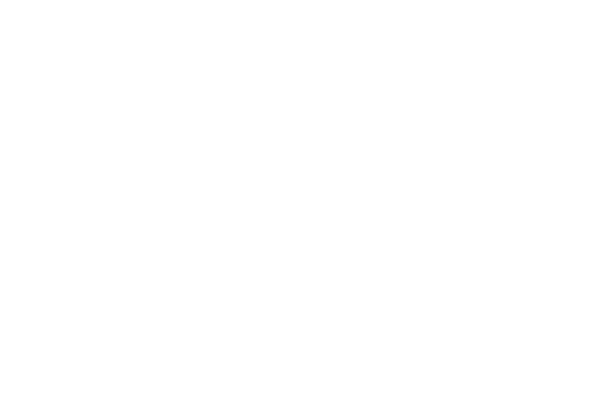 LIBERTY SAFE HDV-150X BIOMETRIC SMART VAULT.